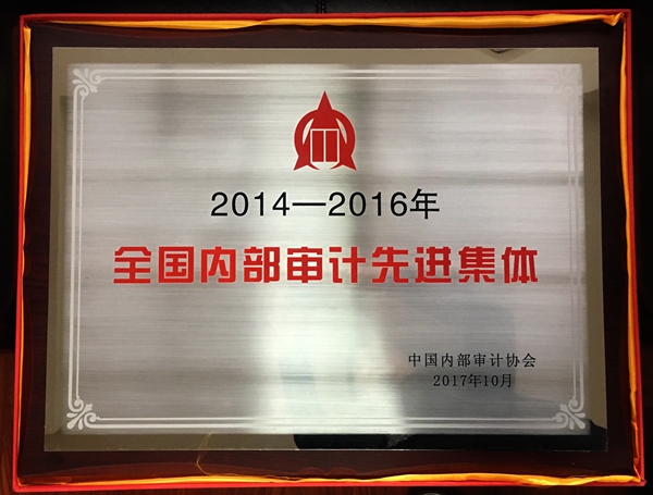 全國(guó)內(nèi)部審計(jì)先進(jìn)集體.jpg